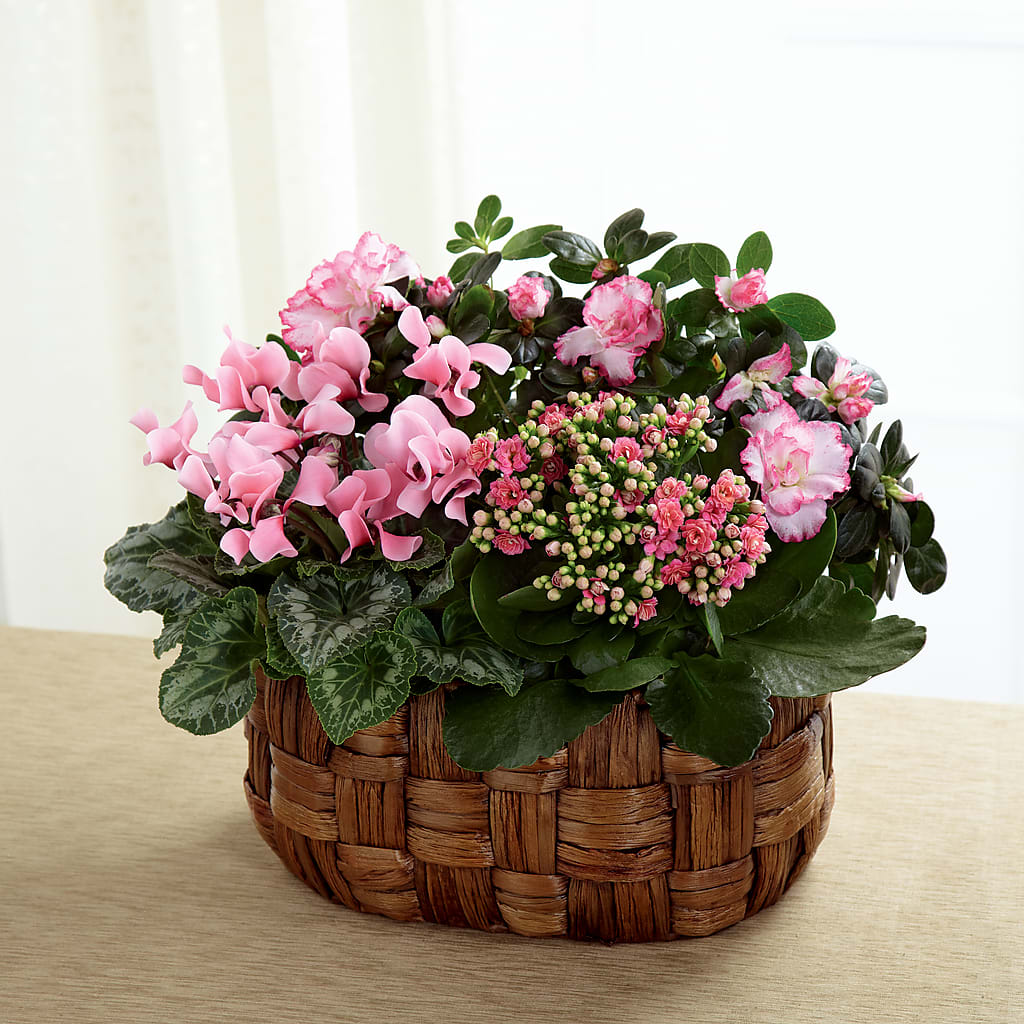 Pink Assortment – Taylor Florist, Billerica MA