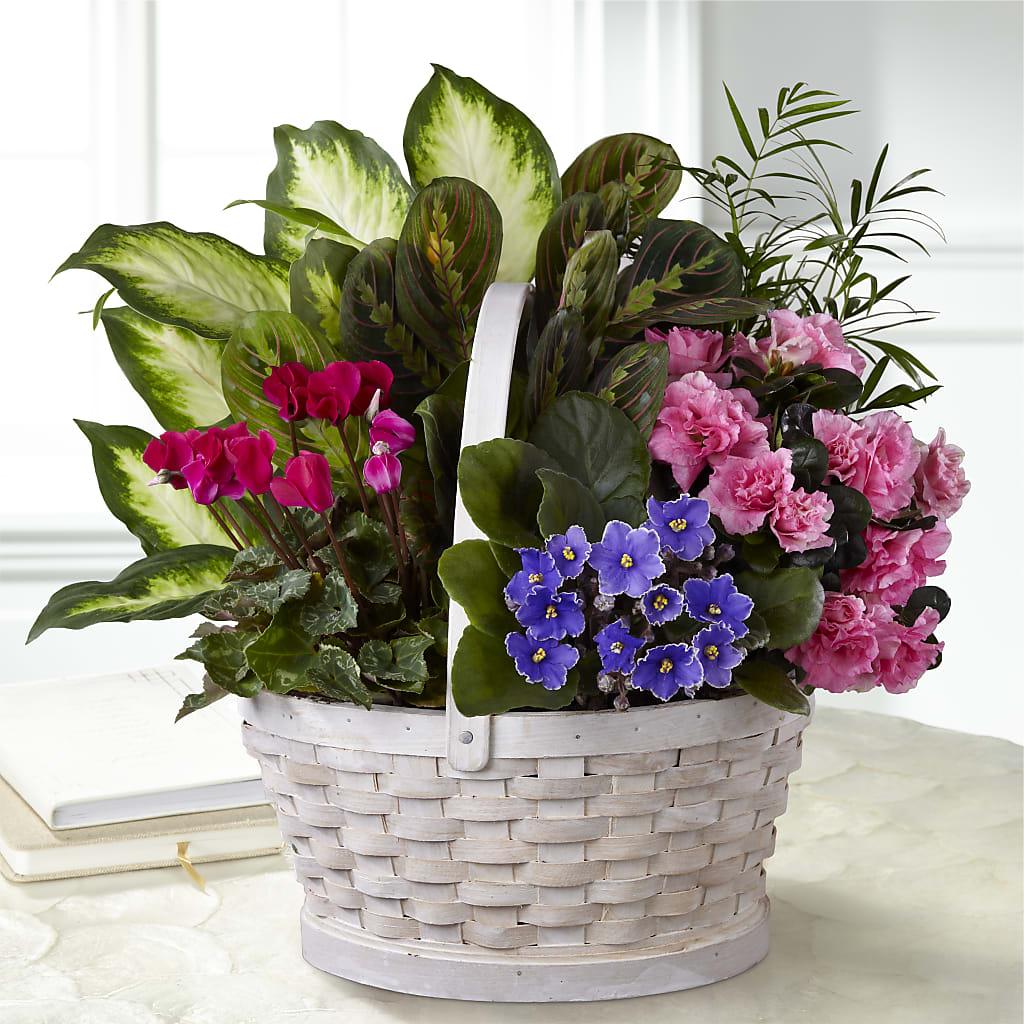 Peaceful Garden Planter – Taylor Florist, Billerica MA