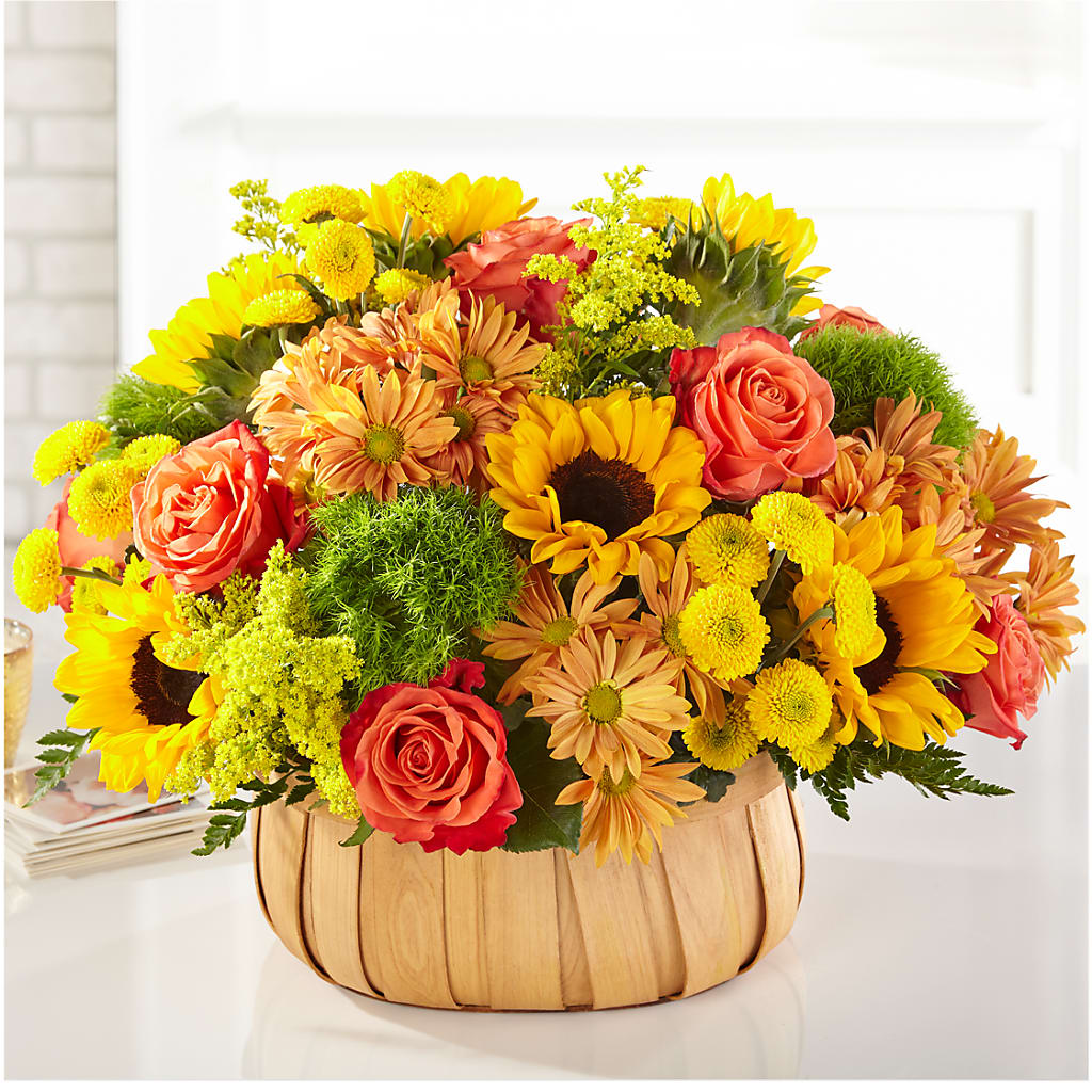 Harvest Sunflower Basket – Taylor Florist, Billerica MA