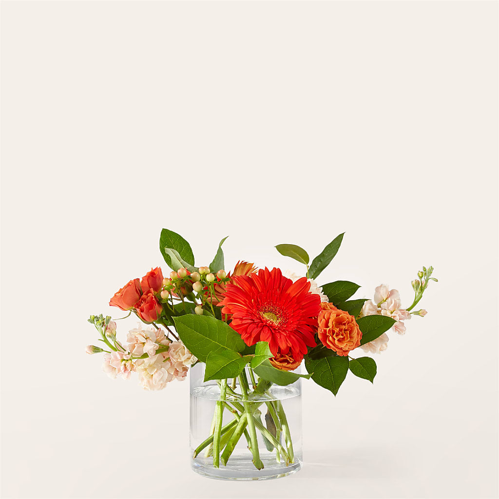 Paloma Please Bouquet – Taylor Florist, Billerica MA