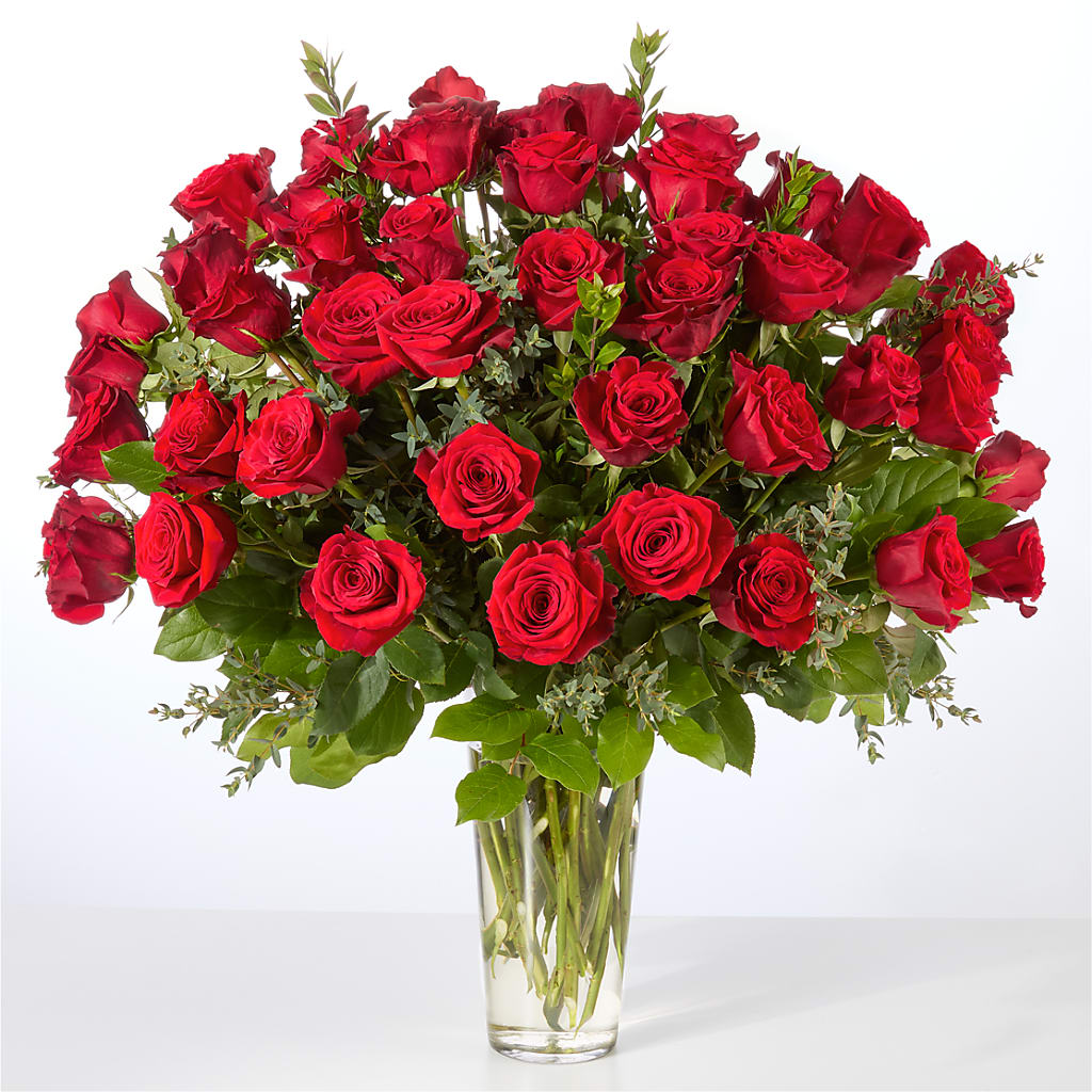 Forever Yours Fifty Stem Red Rose Bouquet – Taylor Florist, Billerica MA