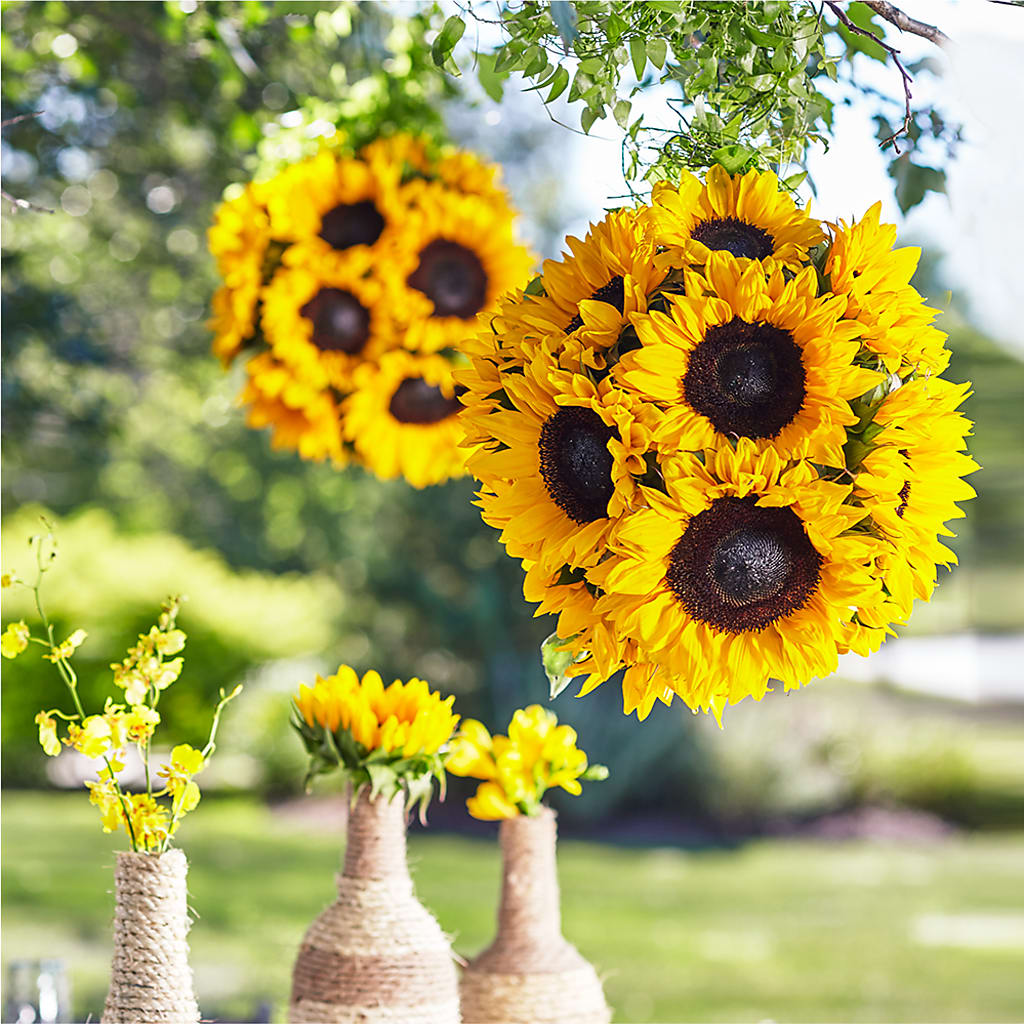 Sublime Garden Hanging Arrangement – Taylor Florist, Billerica MA