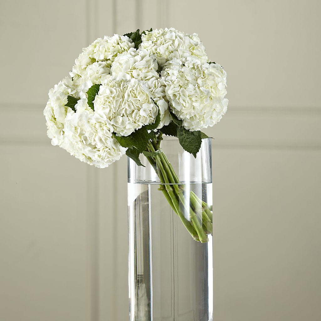 White Hydrangea Hand-Tied Bouquet – Taylor Florist, Billerica MA