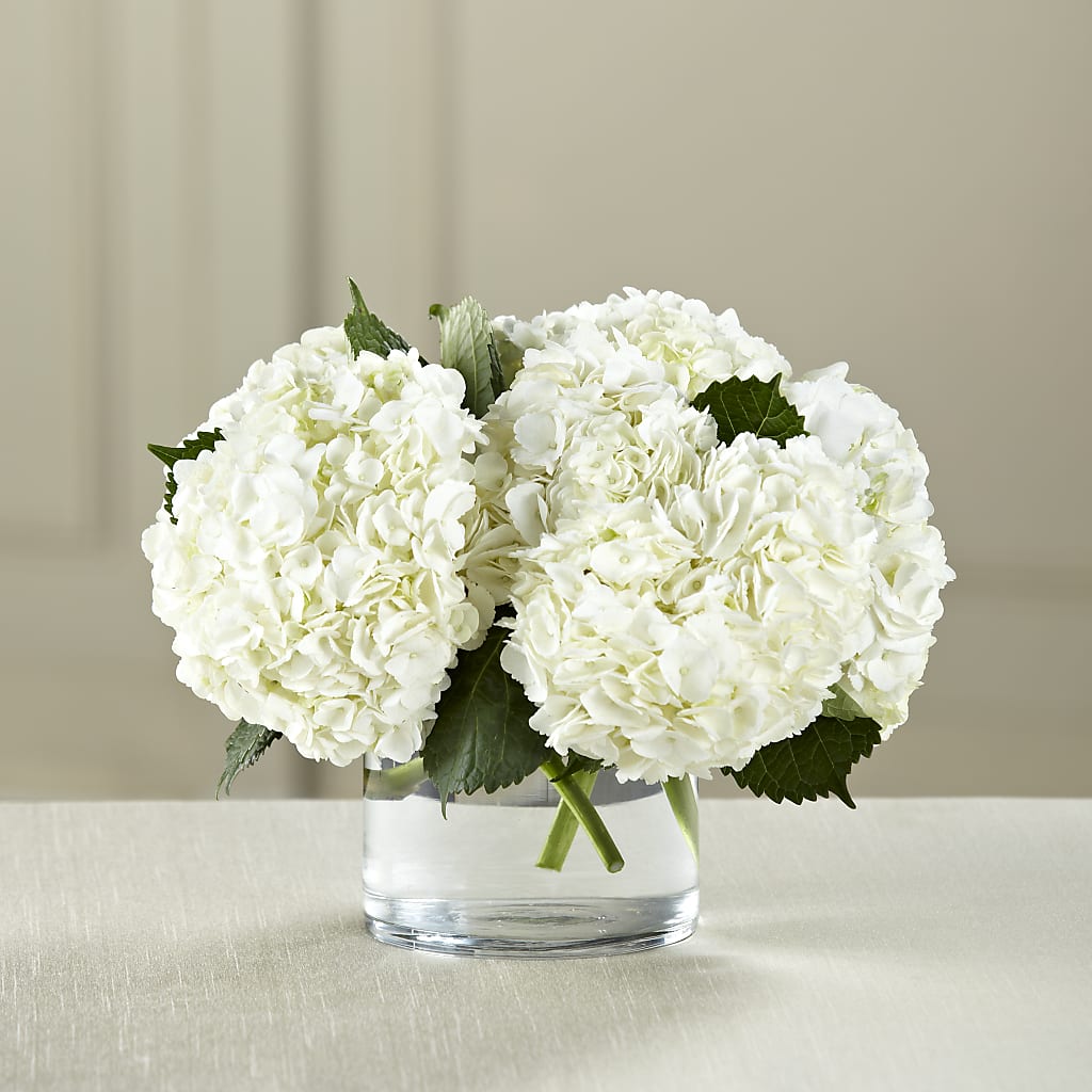 White Hydrangea Bouquet – Taylor Florist, Billerica MA