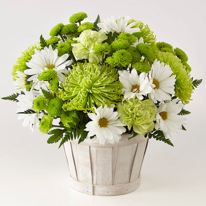 Lucky Charm Basket (Standard) –  Taylor Florist, Billerica MA