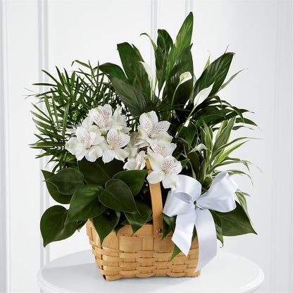 Peace & Serenity Dishgarden –  Taylor Florist, Billerica MA