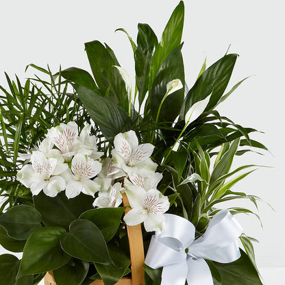 Peace & Serenity Dishgarden –  Taylor Florist, Billerica MA