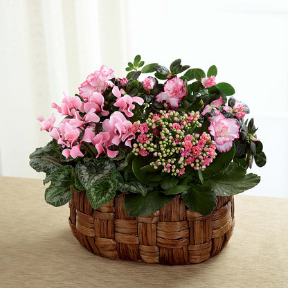Pink Assortment –  Taylor Florist, Billerica MA