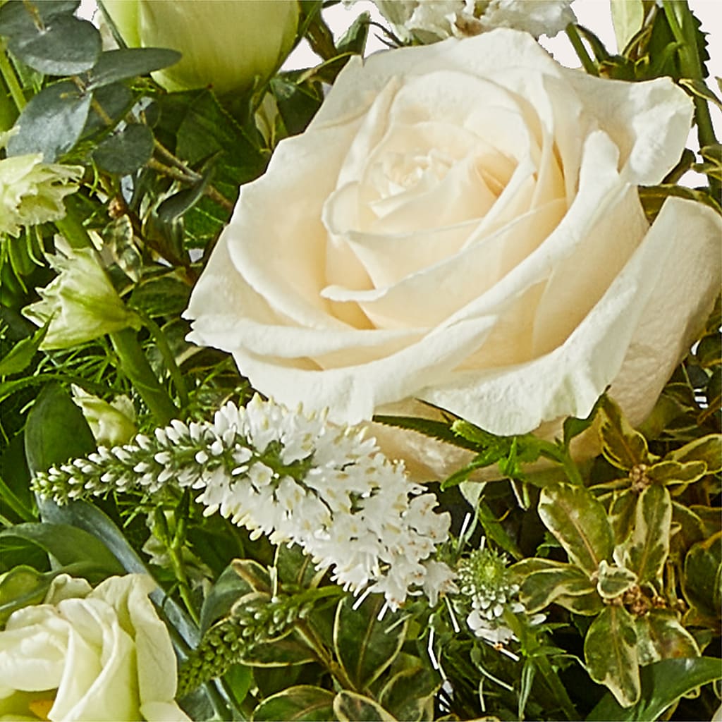 Cashmere Bouquet –  Taylor Florist, Billerica MA