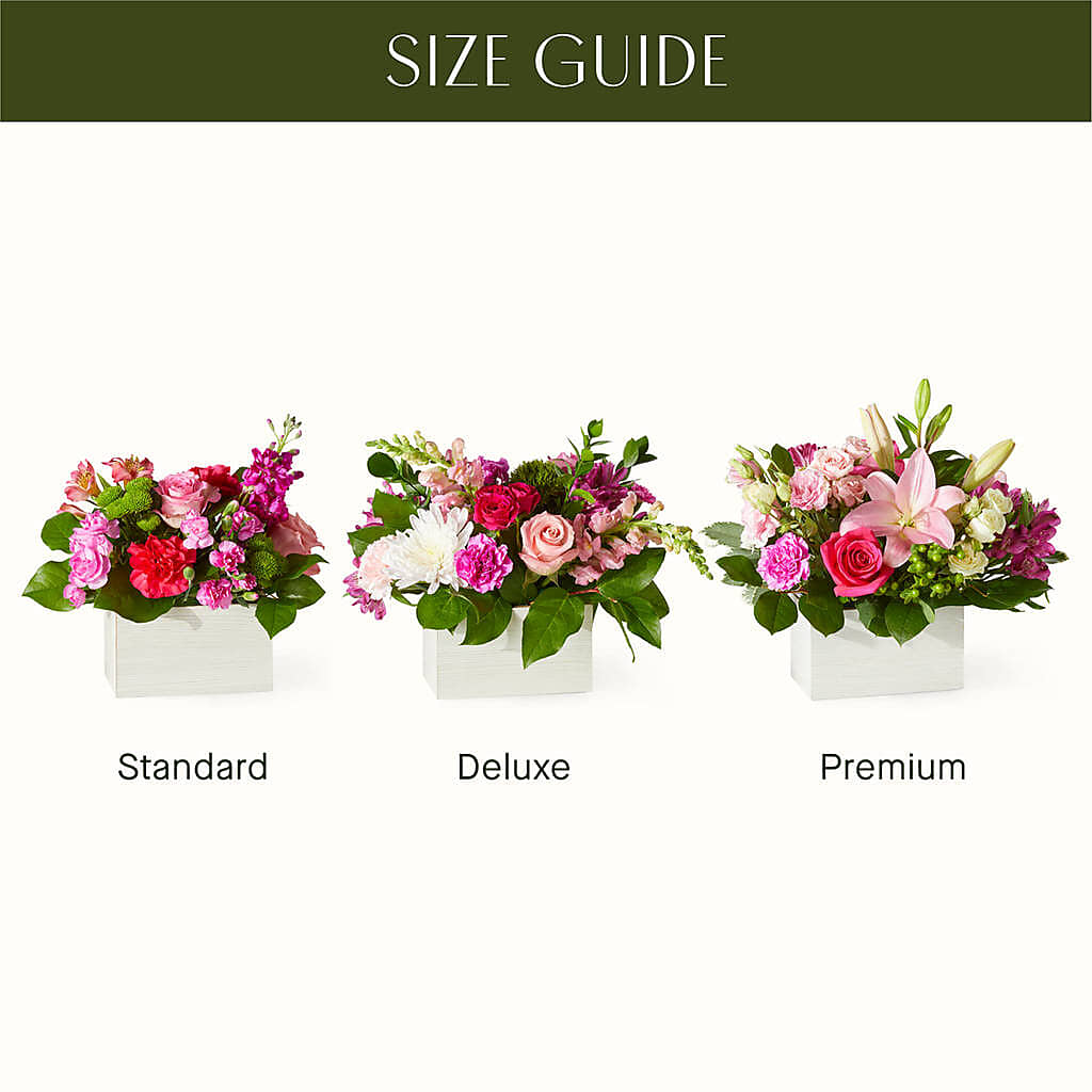 Sweetberry Box – A Florist Original –  Taylor Florist, Billerica MA