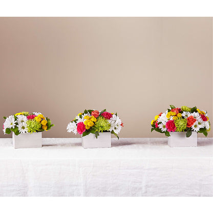 Sorbet Bouquet –  Taylor Florist, Billerica MA
