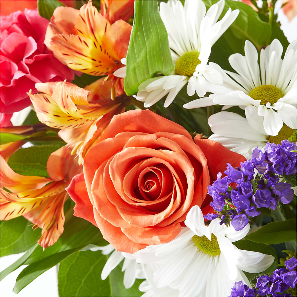 Oopsie Daisy Box Bouquet –  Taylor Florist, Billerica MA