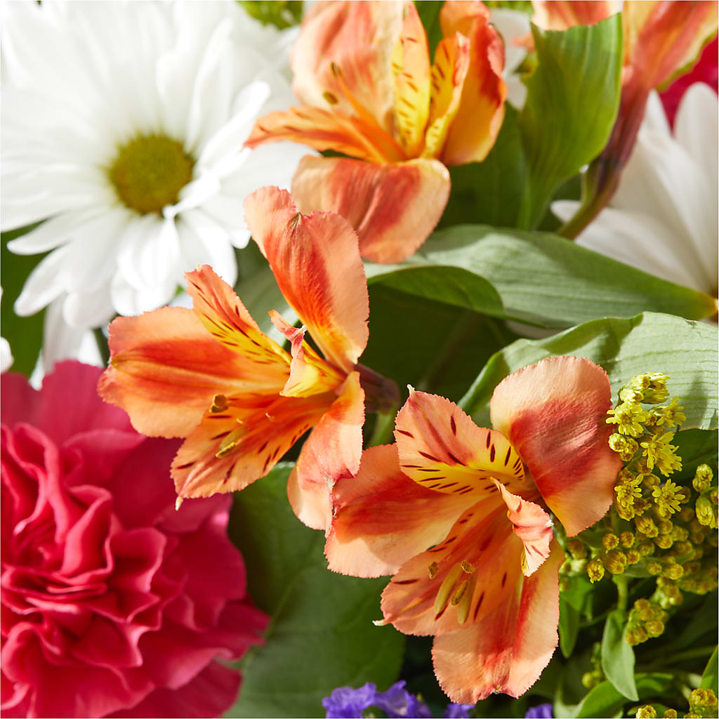 Oopsie Daisy Box Bouquet –  Taylor Florist, Billerica MA