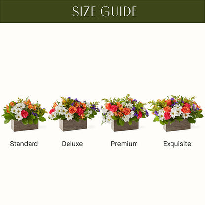 Oopsie Daisy Box Bouquet –  Taylor Florist, Billerica MA