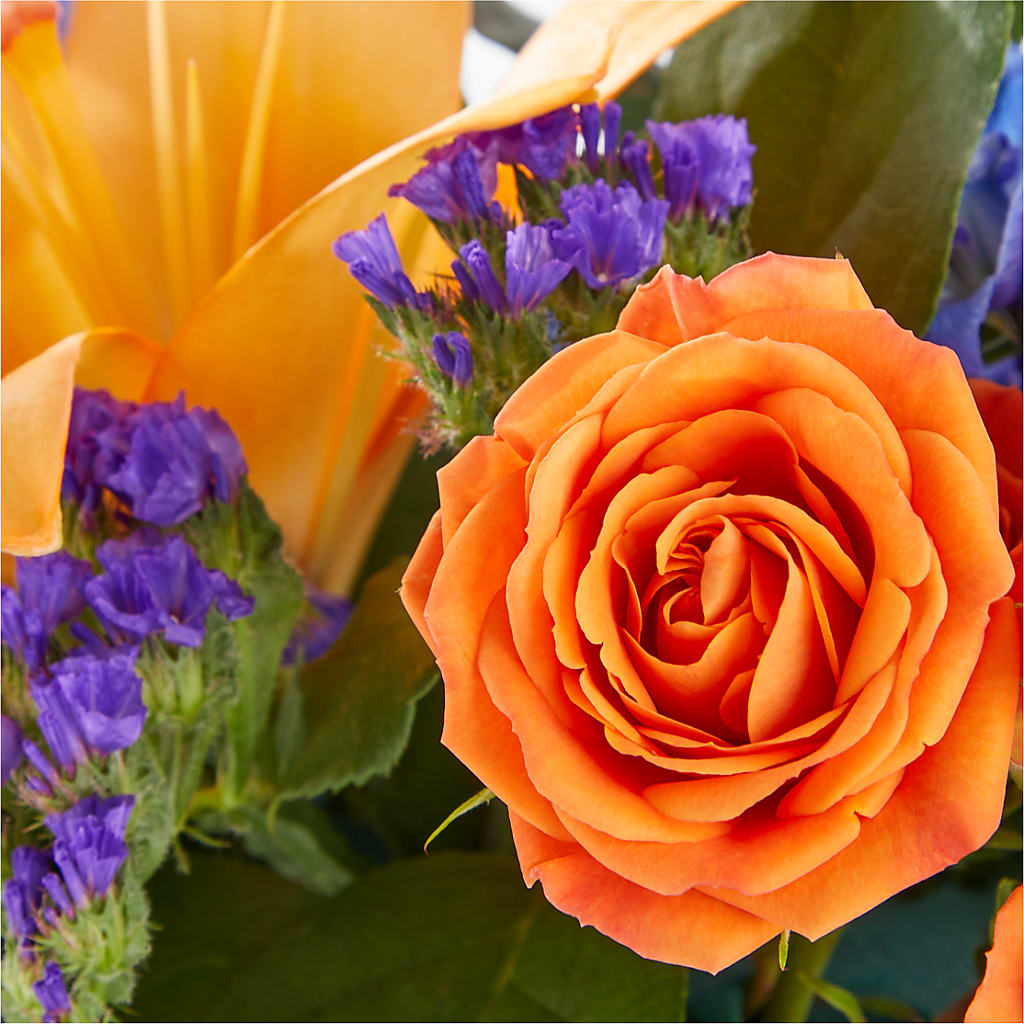 Radiant Citrus Box Bouquet –  Taylor Florist, Billerica MA