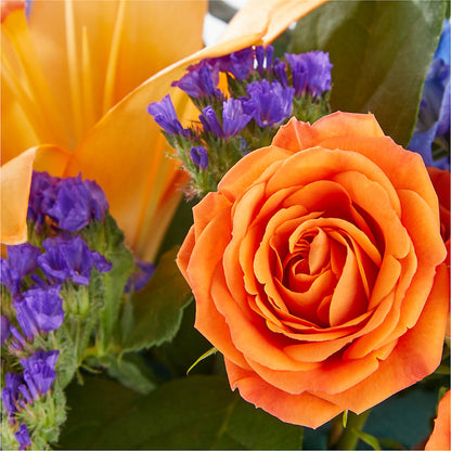 Radiant Citrus Box Bouquet –  Taylor Florist, Billerica MA