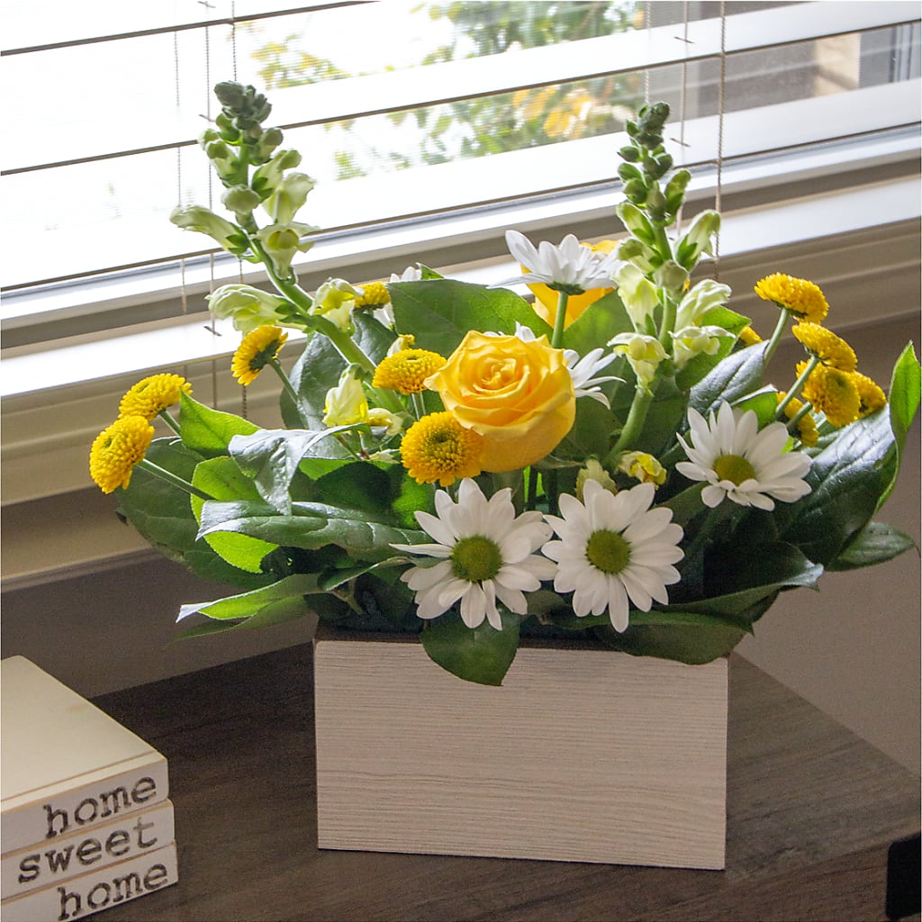 Sun Salutation Box Bouquet –  Taylor Florist, Billerica MA