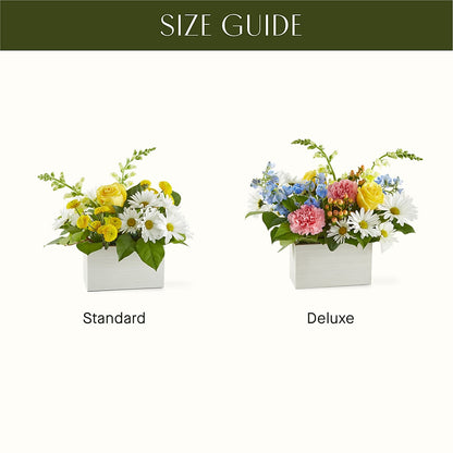 Sun Salutation Box Bouquet –  Taylor Florist, Billerica MA