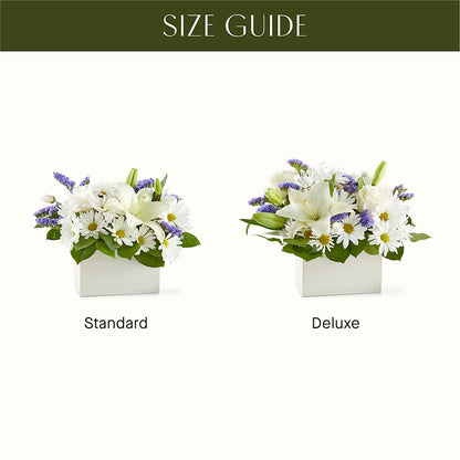 Beyond Blue Box Bouquet –  Taylor Florist, Billerica MA