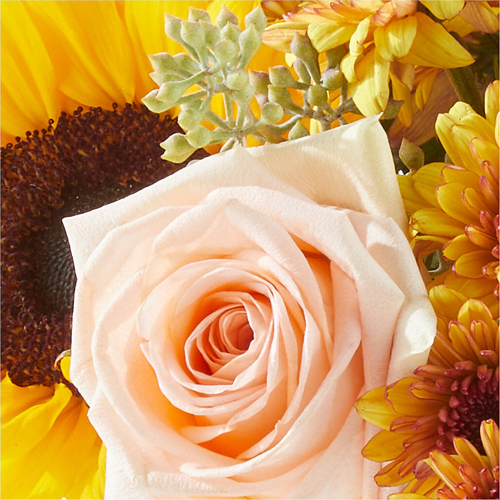 Pumpkin to Talk About Bouquet –  Taylor Florist, Billerica MA
