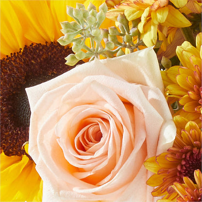 Pumpkin to Talk About Bouquet –  Taylor Florist, Billerica MA