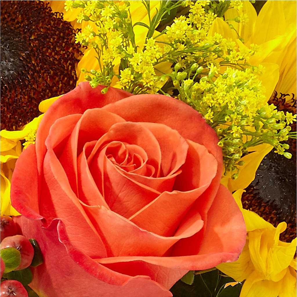 Pick of the Patch Pumpkin Bouquet –  Taylor Florist, Billerica MA