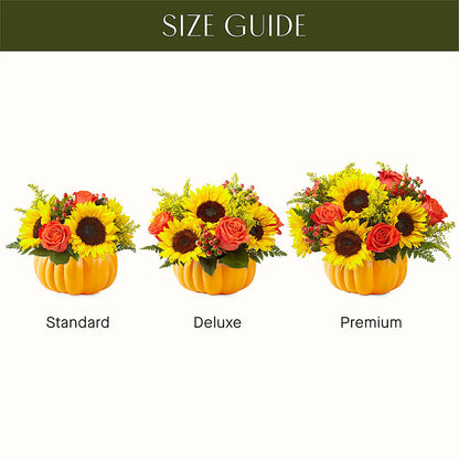 Pick of the Patch Pumpkin Bouquet –  Taylor Florist, Billerica MA
