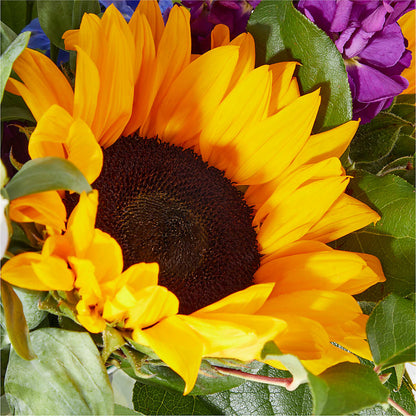 Catching Rays Bouquet –  Taylor Florist, Billerica MA