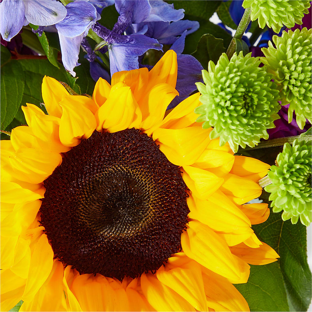 Catching Rays Bouquet –  Taylor Florist, Billerica MA