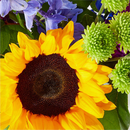 Catching Rays Bouquet –  Taylor Florist, Billerica MA