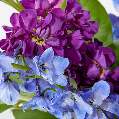 Twilight Glow Bouquet –  Taylor Florist, Billerica MA