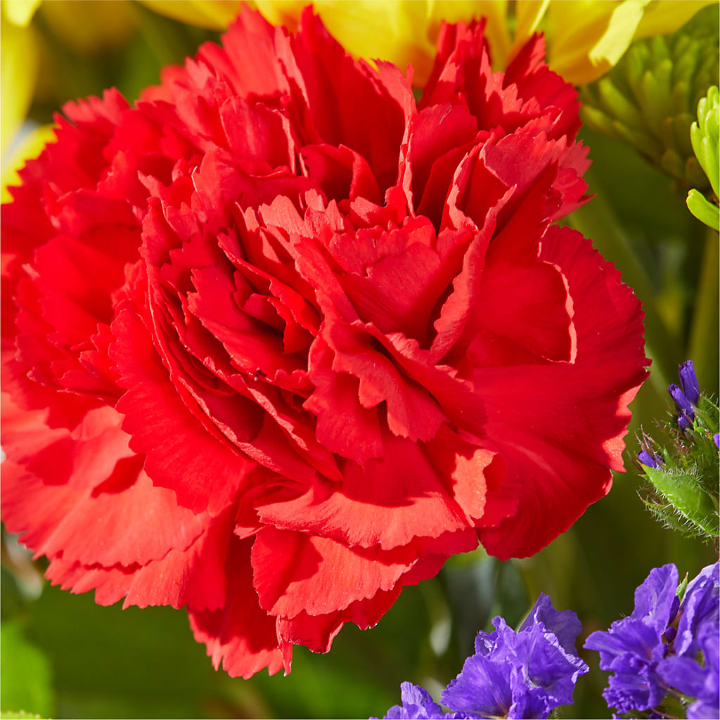 Brighter Days Bouquet –  Taylor Florist, Billerica MA