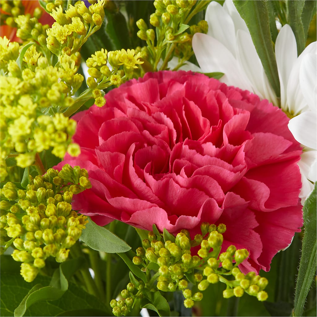 Oopsie Daisy Bouquet –  Taylor Florist, Billerica MA