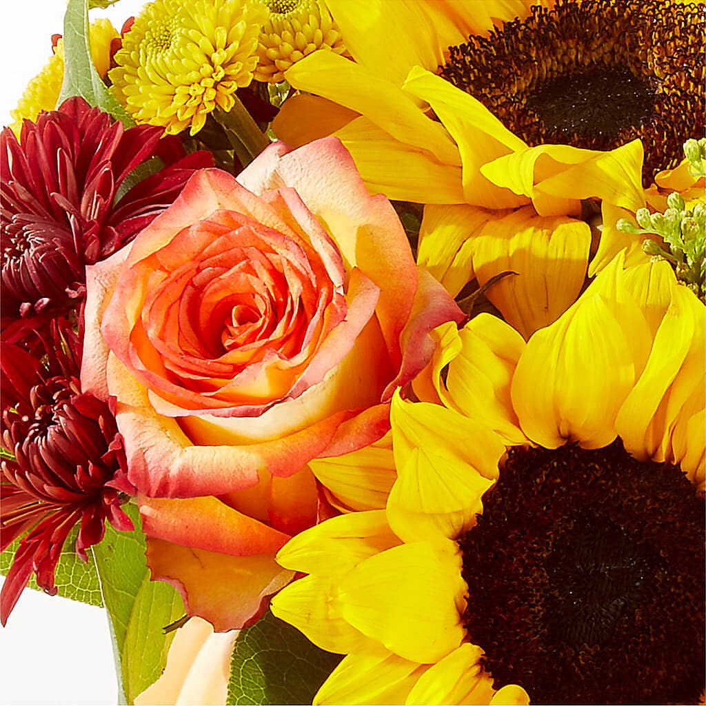 Golden Gourd Pumpkin Bouquet –  Taylor Florist, Billerica MA
