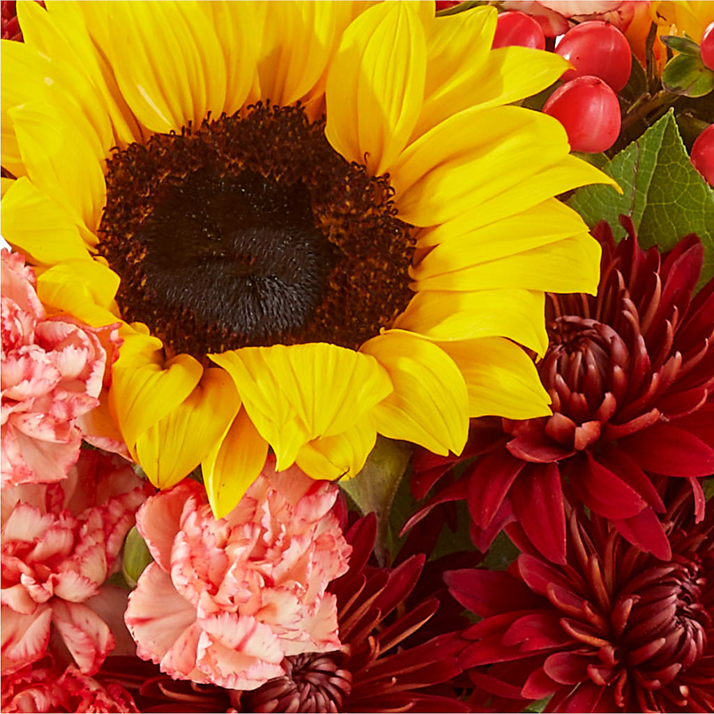 Fresh Cider Bouquet –  Taylor Florist, Billerica MA