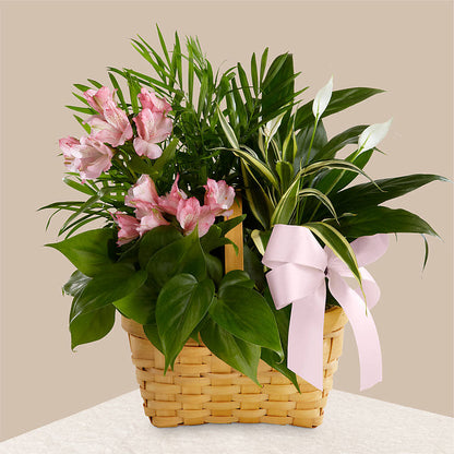 Living Spirit Dishgarden –  Taylor Florist, Billerica MA
