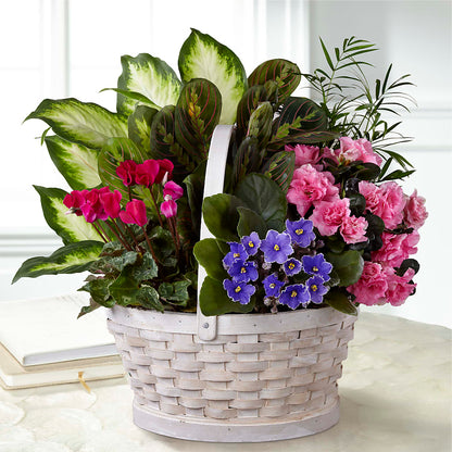Peaceful Garden Planter –  Taylor Florist, Billerica MA