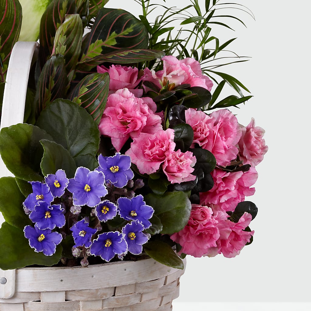 Peaceful Garden Planter –  Taylor Florist, Billerica MA