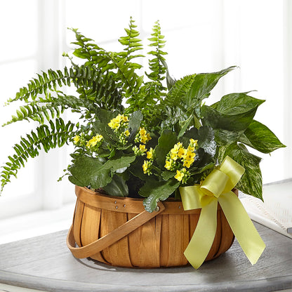 Always Dear Dishgarden –  Taylor Florist, Billerica MA