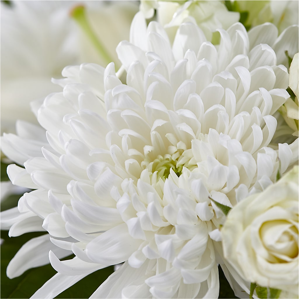 Classic Ivory – A Florist Original –  Taylor Florist, Billerica MA