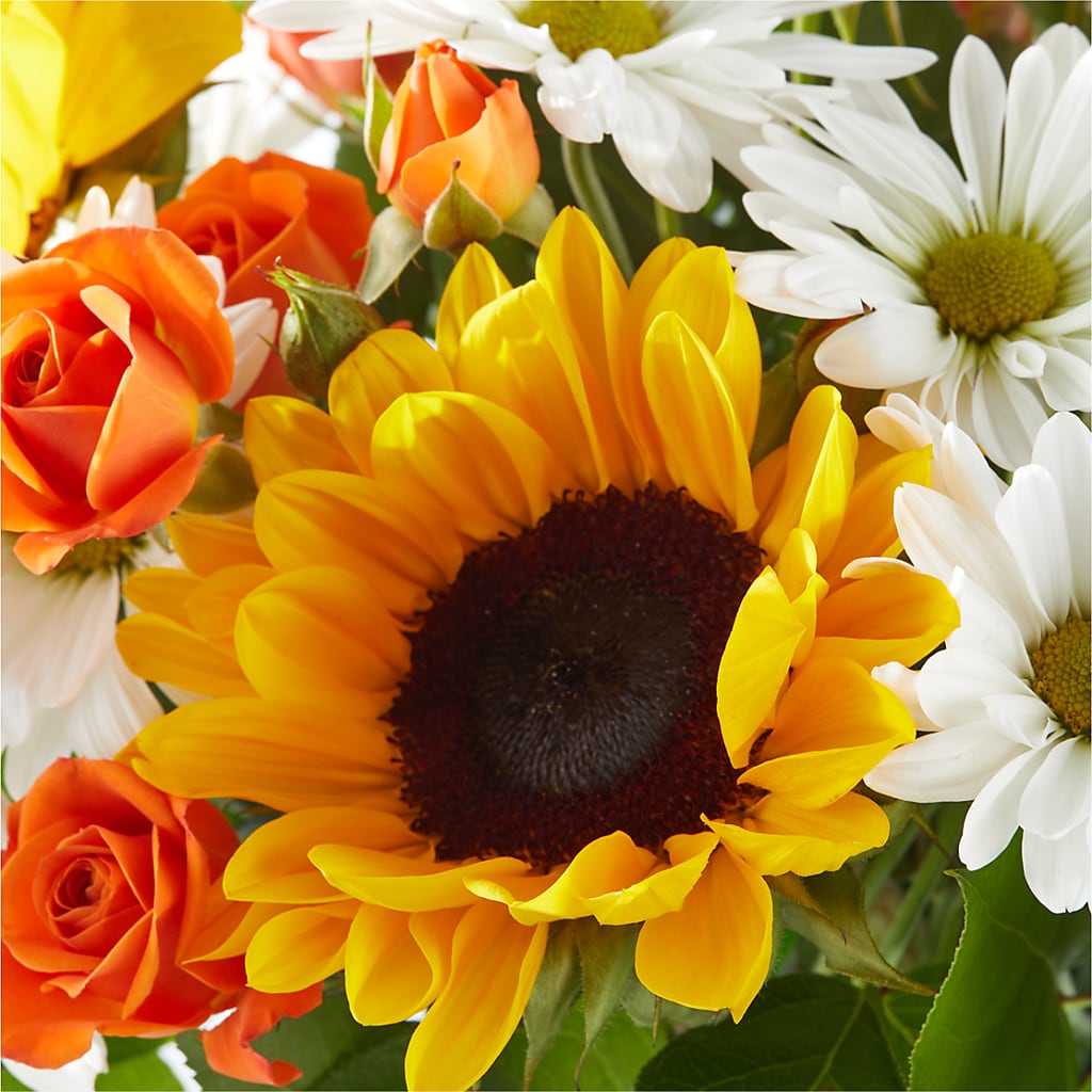 Sun-drenched Blooms Bouquet –  Taylor Florist, Billerica MA
