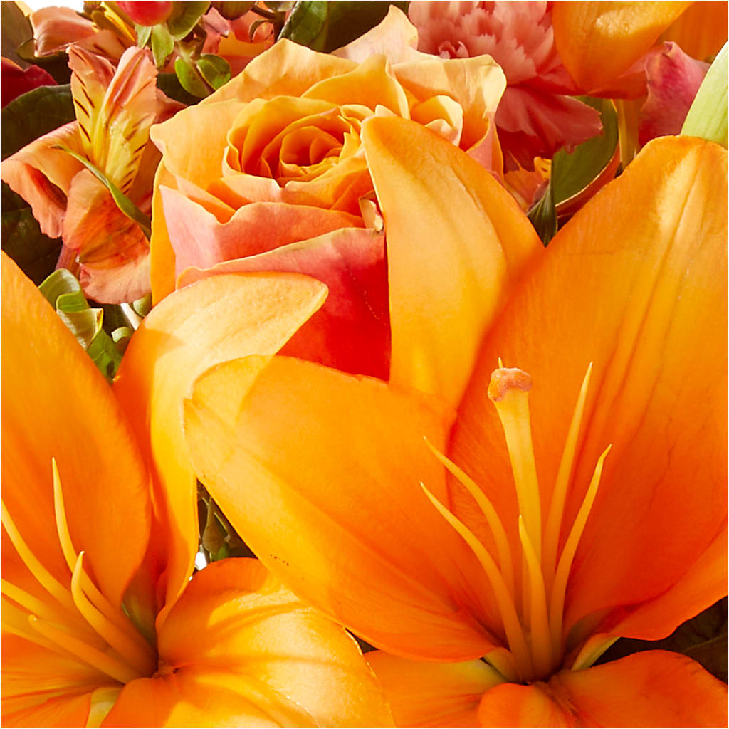 Afternoon Light Bouquet –  Taylor Florist, Billerica MA