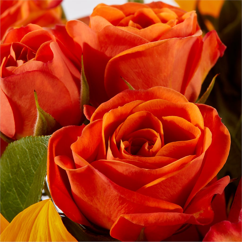 Picnic in the Park Bouquet –  Taylor Florist, Billerica MA