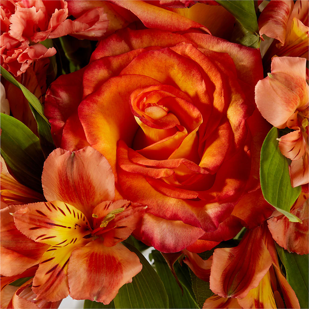 Apricot Glow Bouquet –  Taylor Florist, Billerica MA