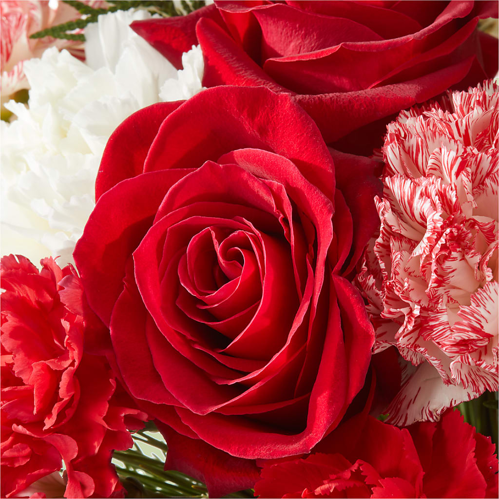 Candy Cane Lane Bouquet –  Taylor Florist, Billerica MA
