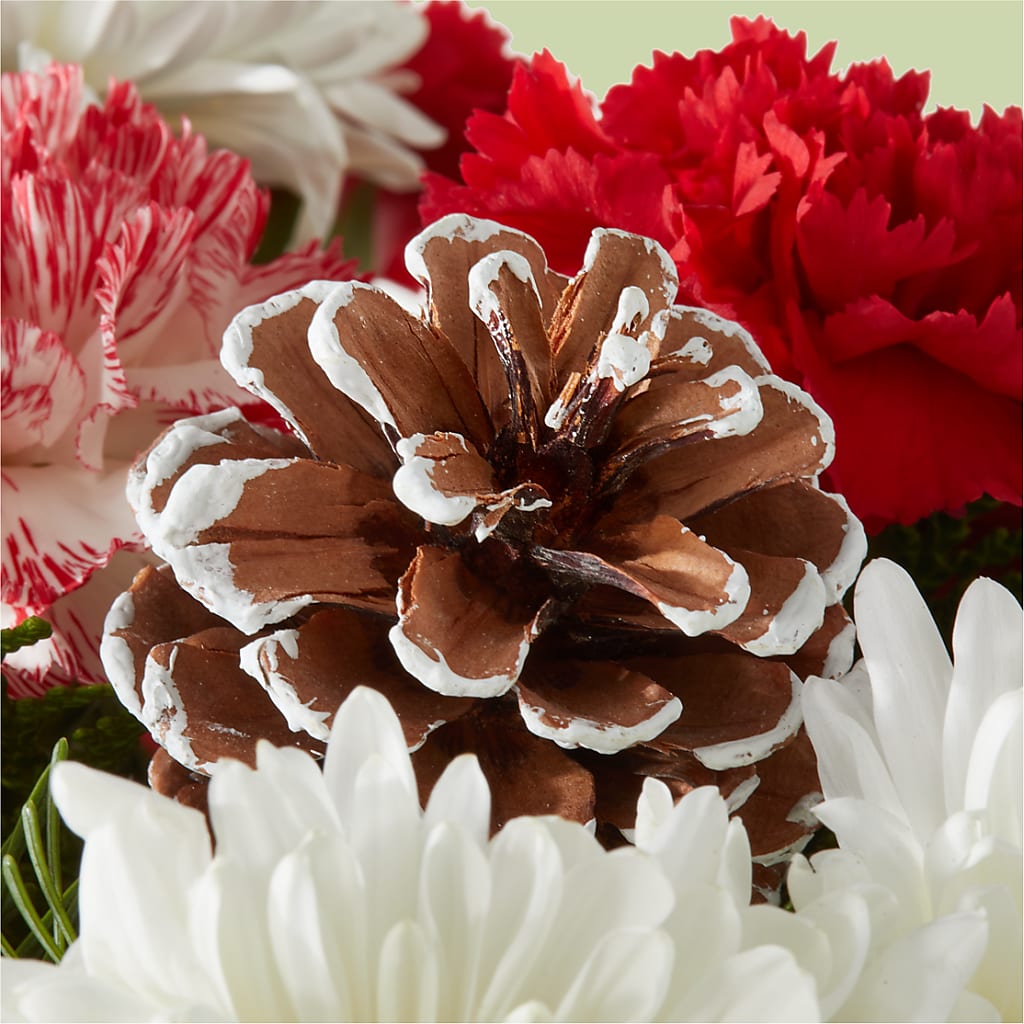 Candy Cane Lane Bouquet –  Taylor Florist, Billerica MA
