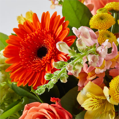 Autumn Sunshine Bouquet –  Taylor Florist, Billerica MA