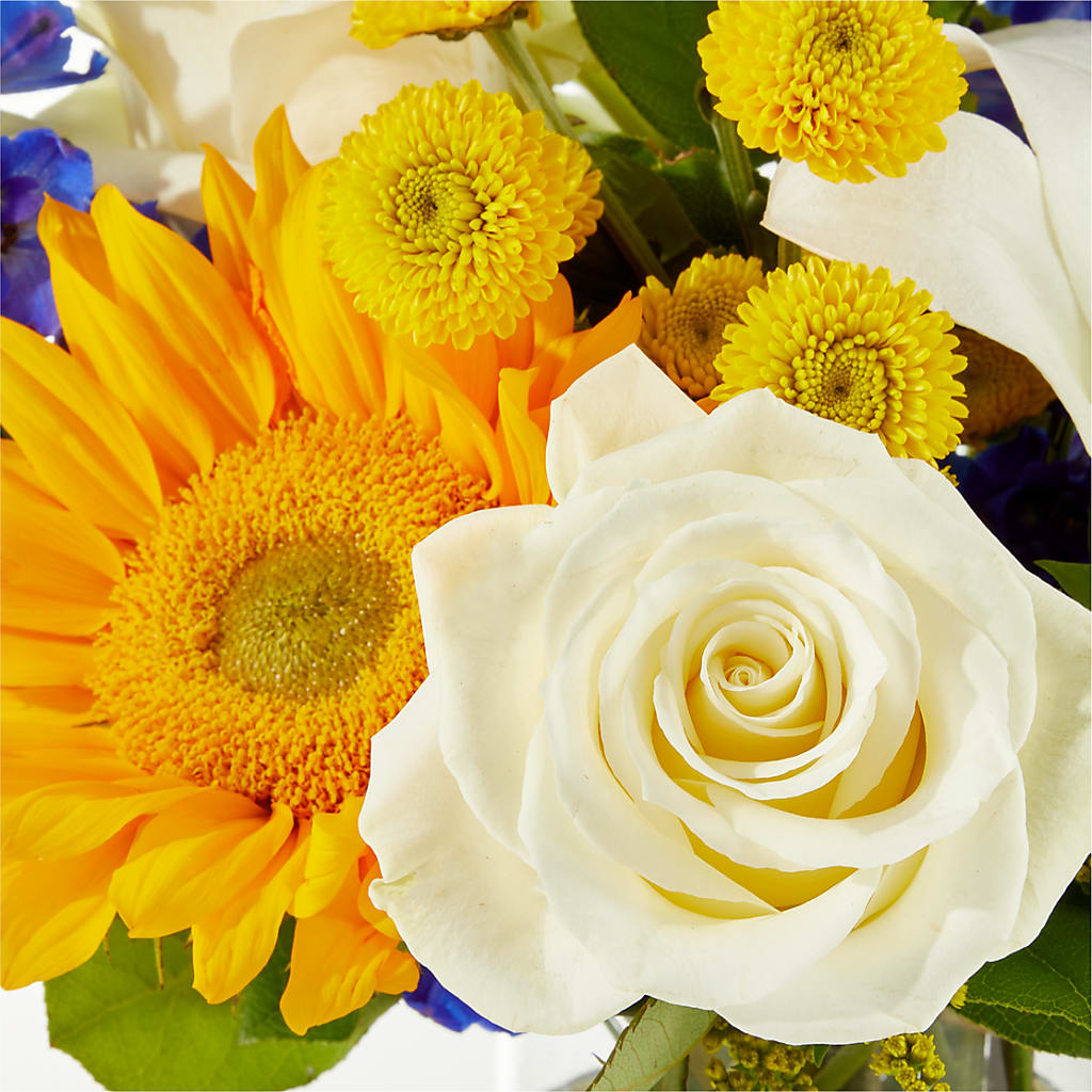 Stargazing Bouquet –  Taylor Florist, Billerica MA