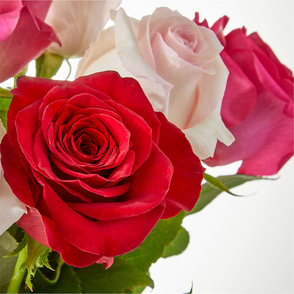 Charming Rose Bouquet –  Taylor Florist, Billerica MA