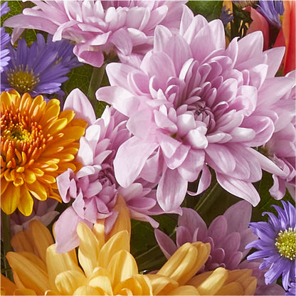 Countryside Bouquet –  Taylor Florist, Billerica MA